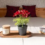 La Del Arroyo Pasiego Holiday home *