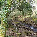 La Del Arroyo Pasiego Selaya