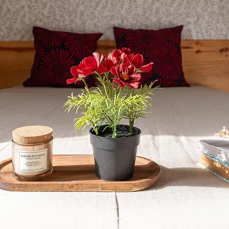 La Del Arroyo Pasiego Сasa de vacaciones *