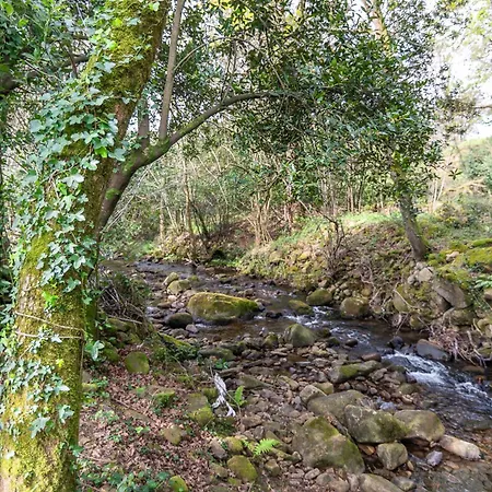 La Del Arroyo Pasiego Selaya