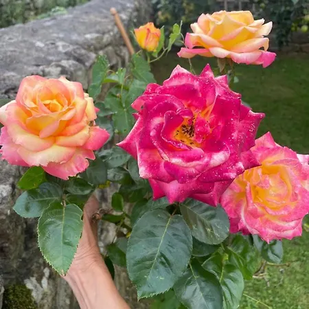 Сasa de vacaciones La Del Arroyo Pasiego