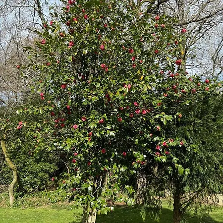 Сasa de vacaciones La Del Arroyo Pasiego