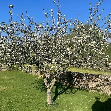 La Del Arroyo Pasiego