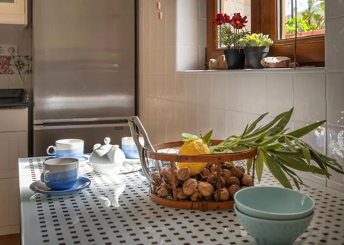 La Del Arroyo Pasiego Selaya