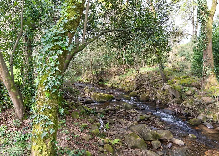 La Del Arroyo Pasiego Selaya