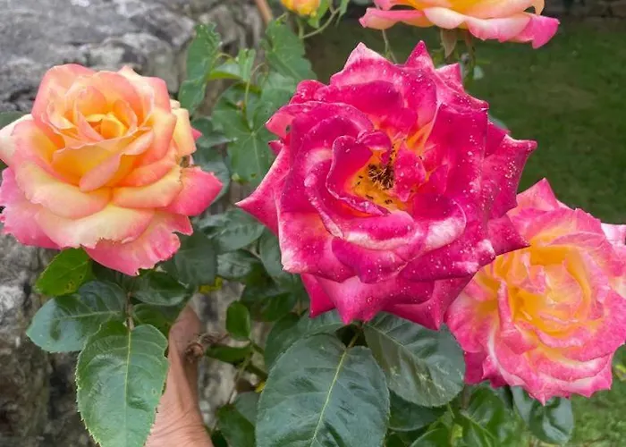 Holiday home La Del Arroyo Pasiego