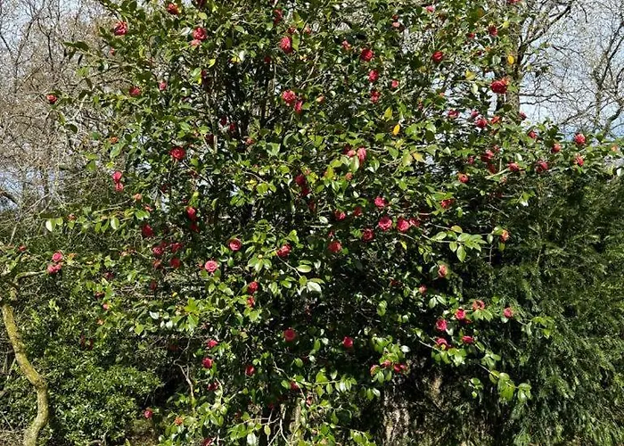 Holiday home La Del Arroyo Pasiego